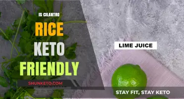 Is Cilantro Rice Keto-Friendly? A Low-Carb Diet Analysis