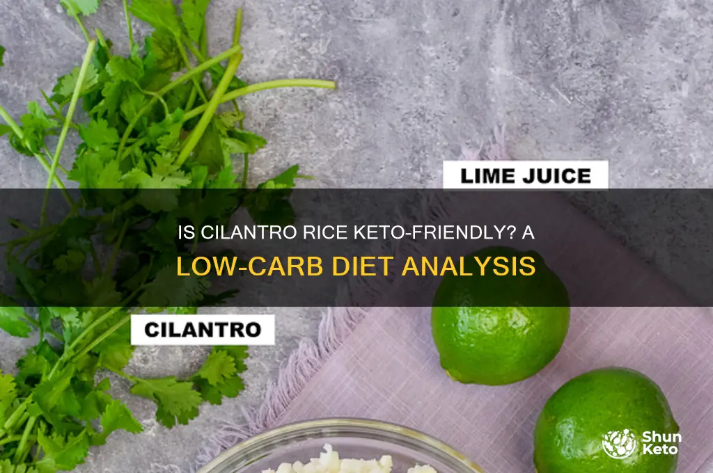 is cilantro rice keto friendly