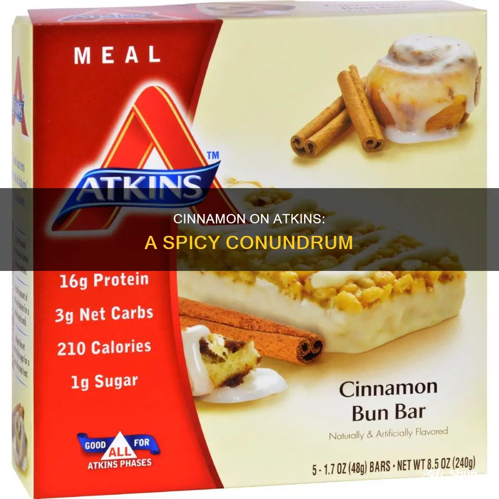is cinnamon allowed on atkins diet