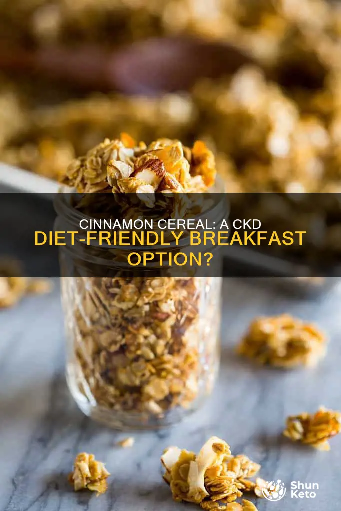 is cinnamon cereal ok for ckd diet