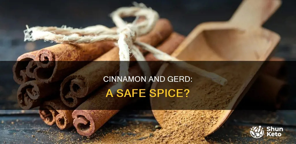 is cinnamon ok for gerd diet