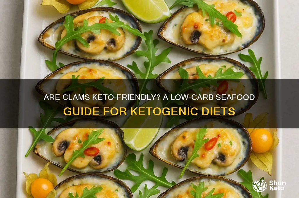 is clams keto friendly