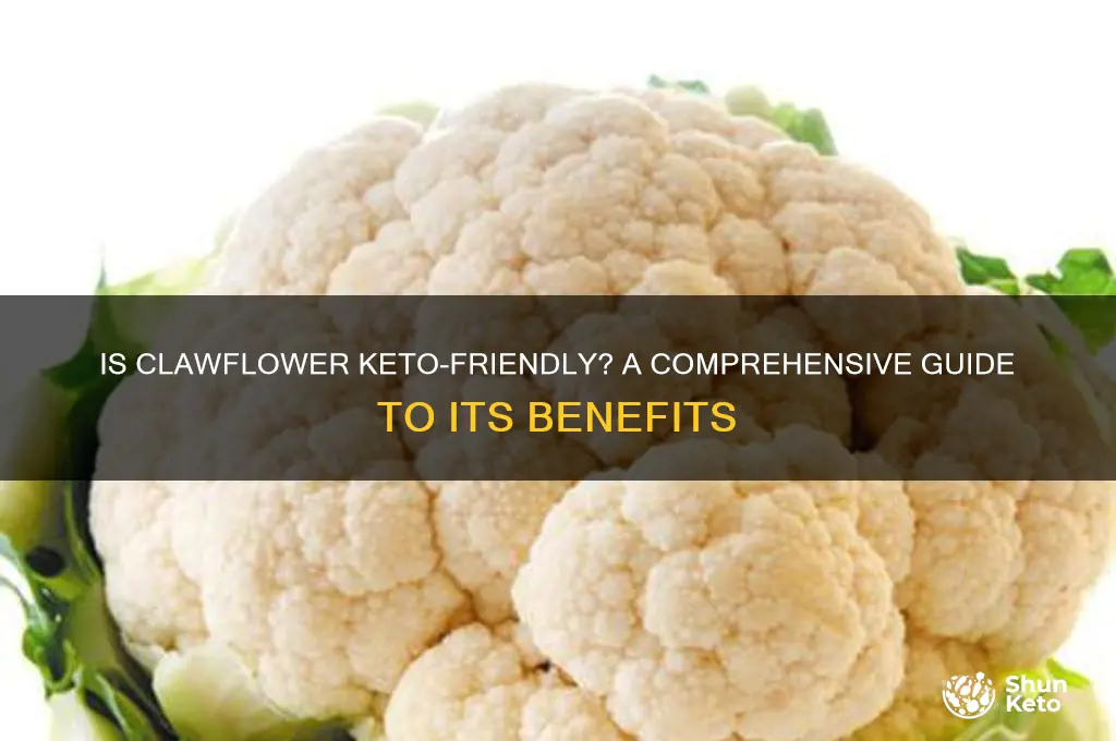 is clawflower keto