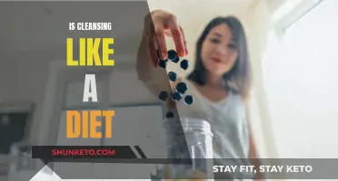 Cleansing vs Dieting: What's the Difference?