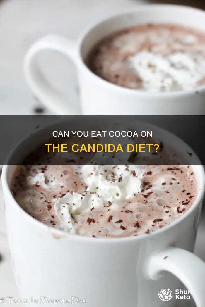 is cocoa ok on the candida diet