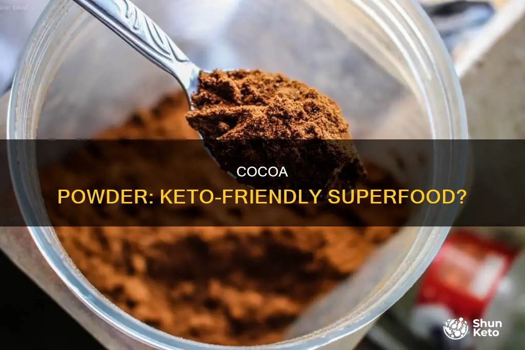 is cocoa powder keto approved