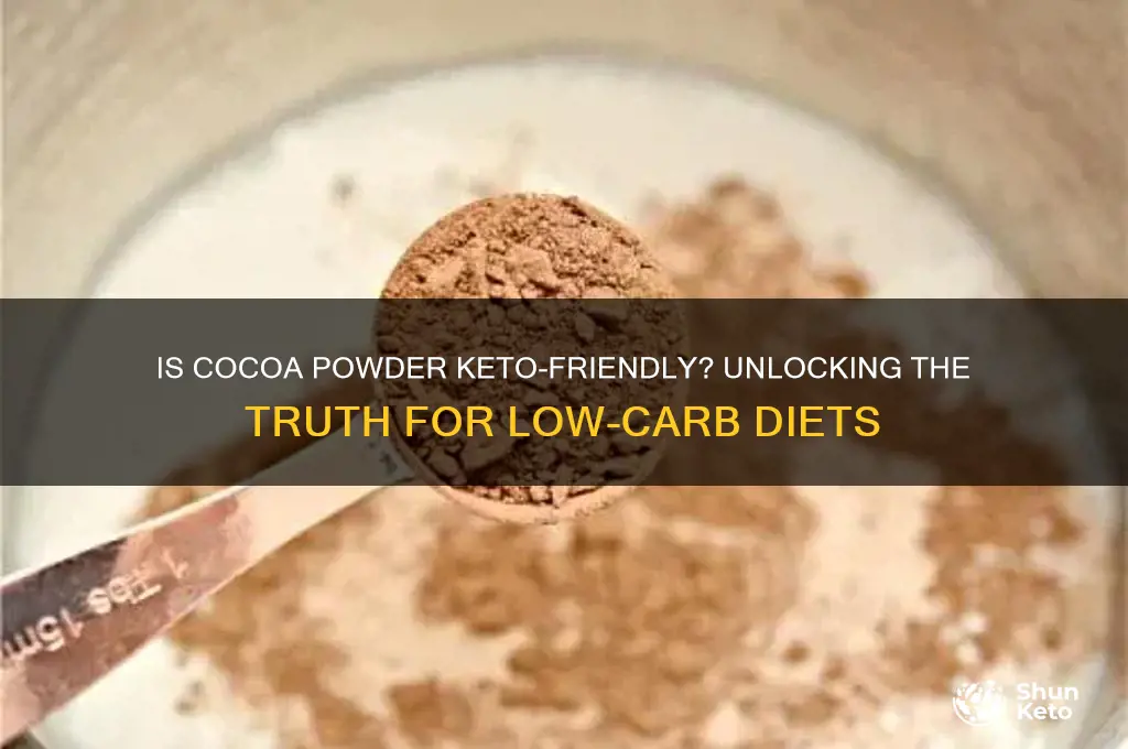 is cocoa powder keto friendly