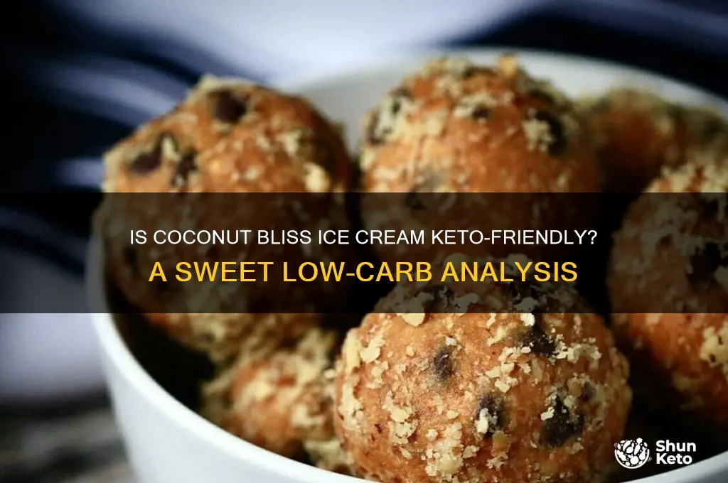 is coconut bliss ice cream keto friendly