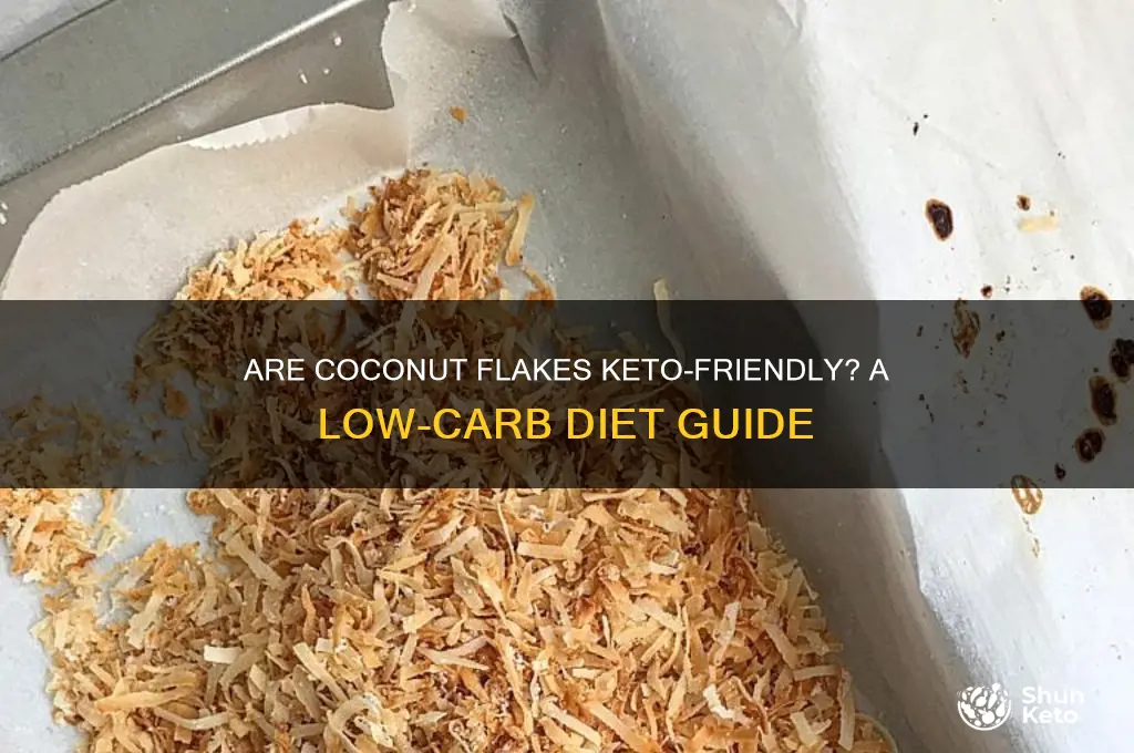 is coconut flakes keto friendly