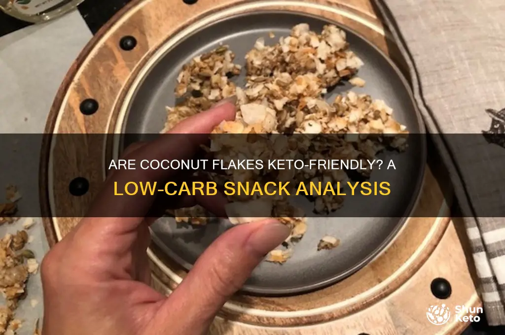 is coconut flakes keto