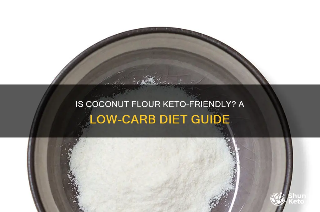 is coconut flour allowed on a keto diet
