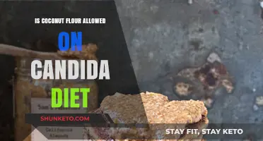 Coconut Flour: Friend or Foe in Candida Diet?