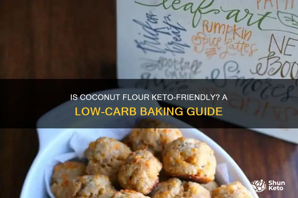 is coconut flour keto-friendly