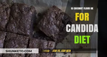 Coconut Flour: Friend or Foe in Candida Diet?