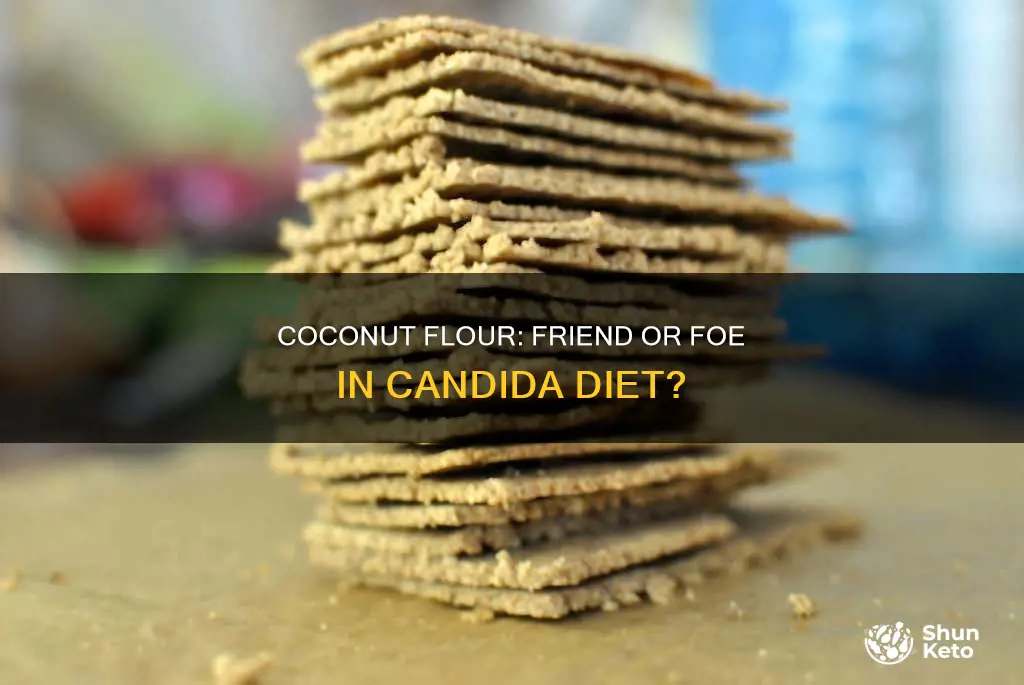 is coconut flour ok for candida diet