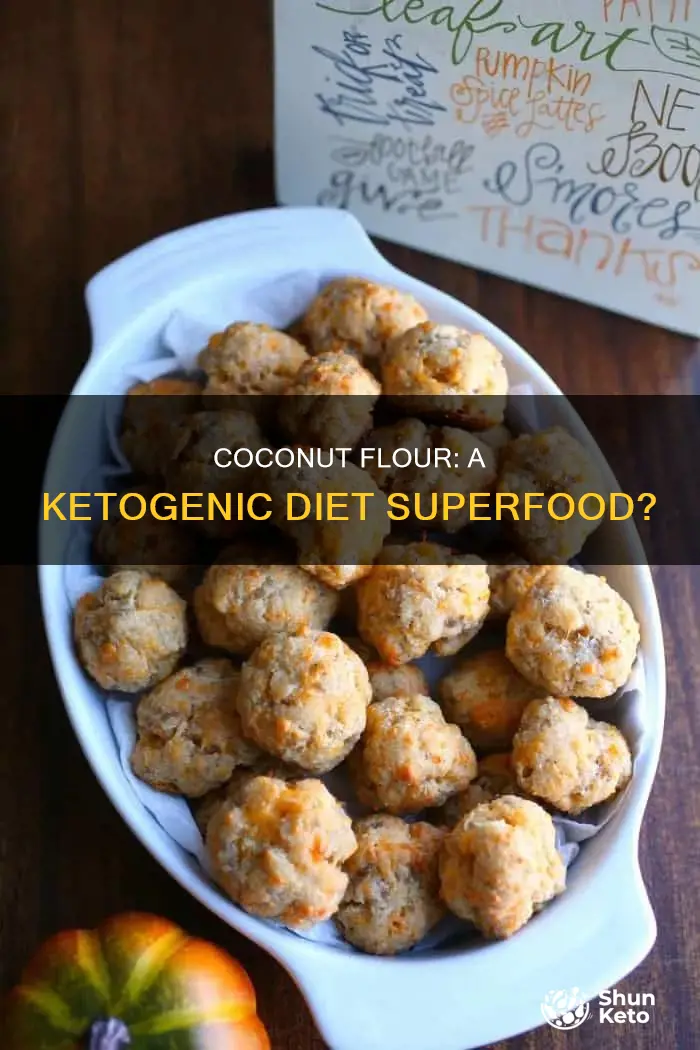 is coconut flour ok for ketogenic diet