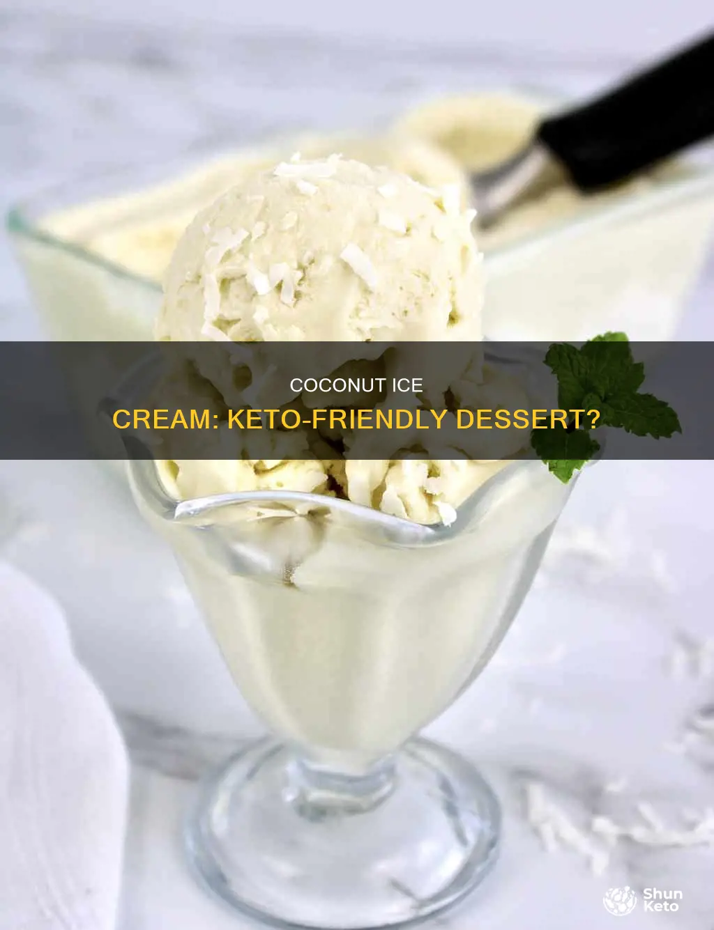 is coconut ice cream keto