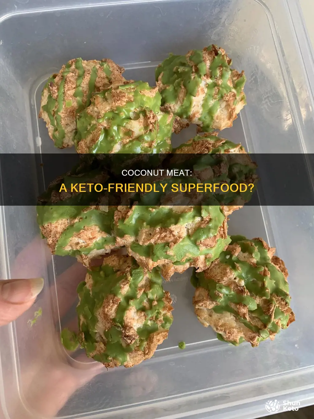 is coconut meat keto approved