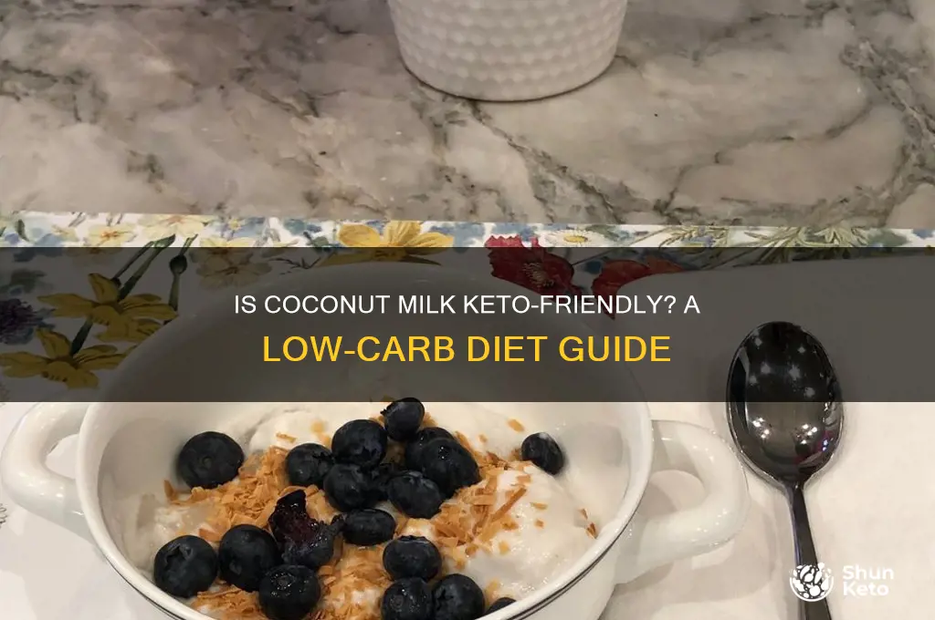 is coconut milk keto diet friendly