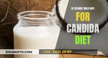 Coconut Milk: Friend or Foe in Candida Diet?