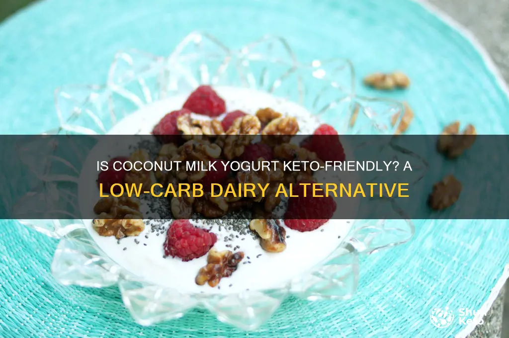 is coconut milk yogurt keto friendly