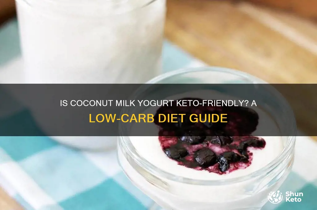 is coconut milk yogurt keto