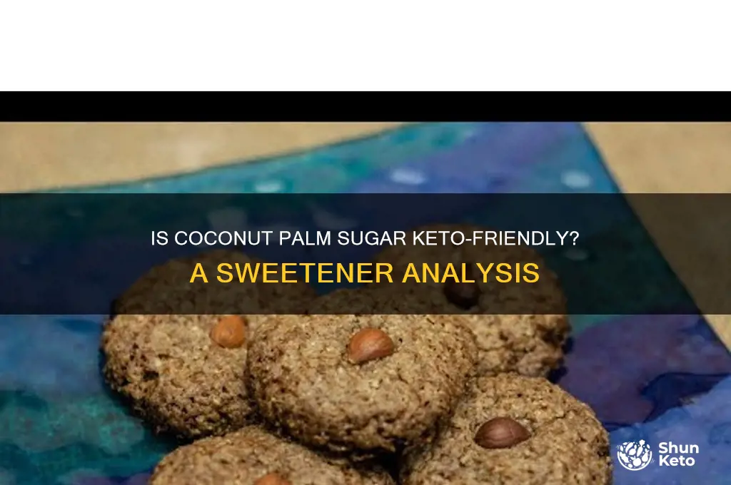 is coconut palm sugar keto friendly