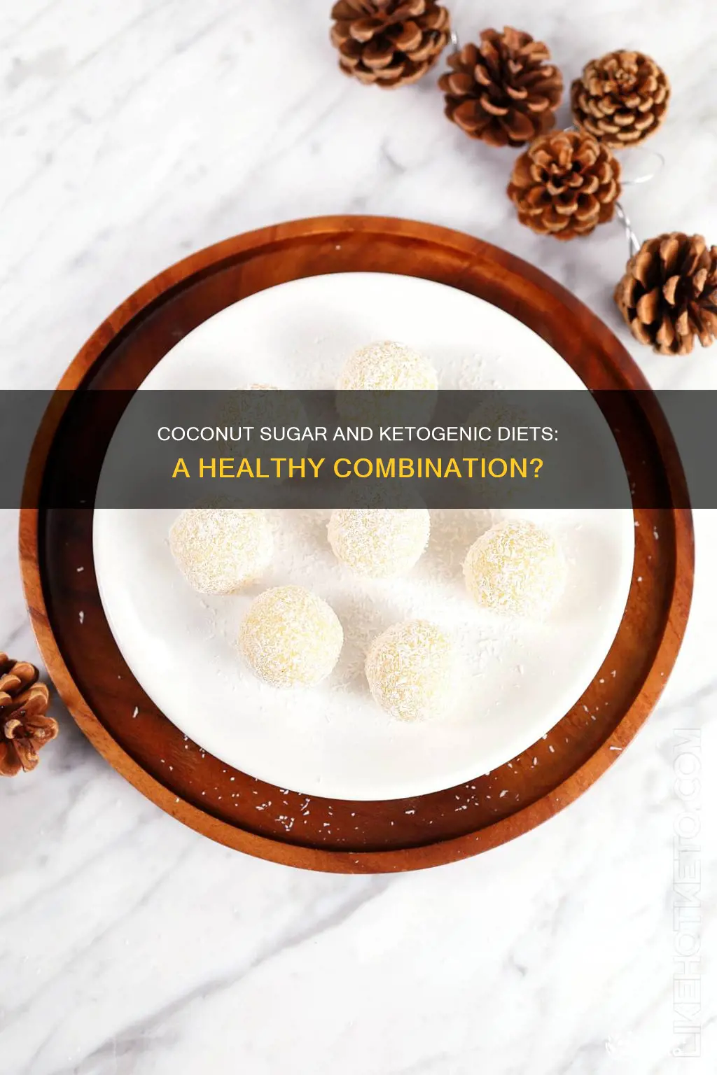 is coconut sugar allowed on ketogenic diet