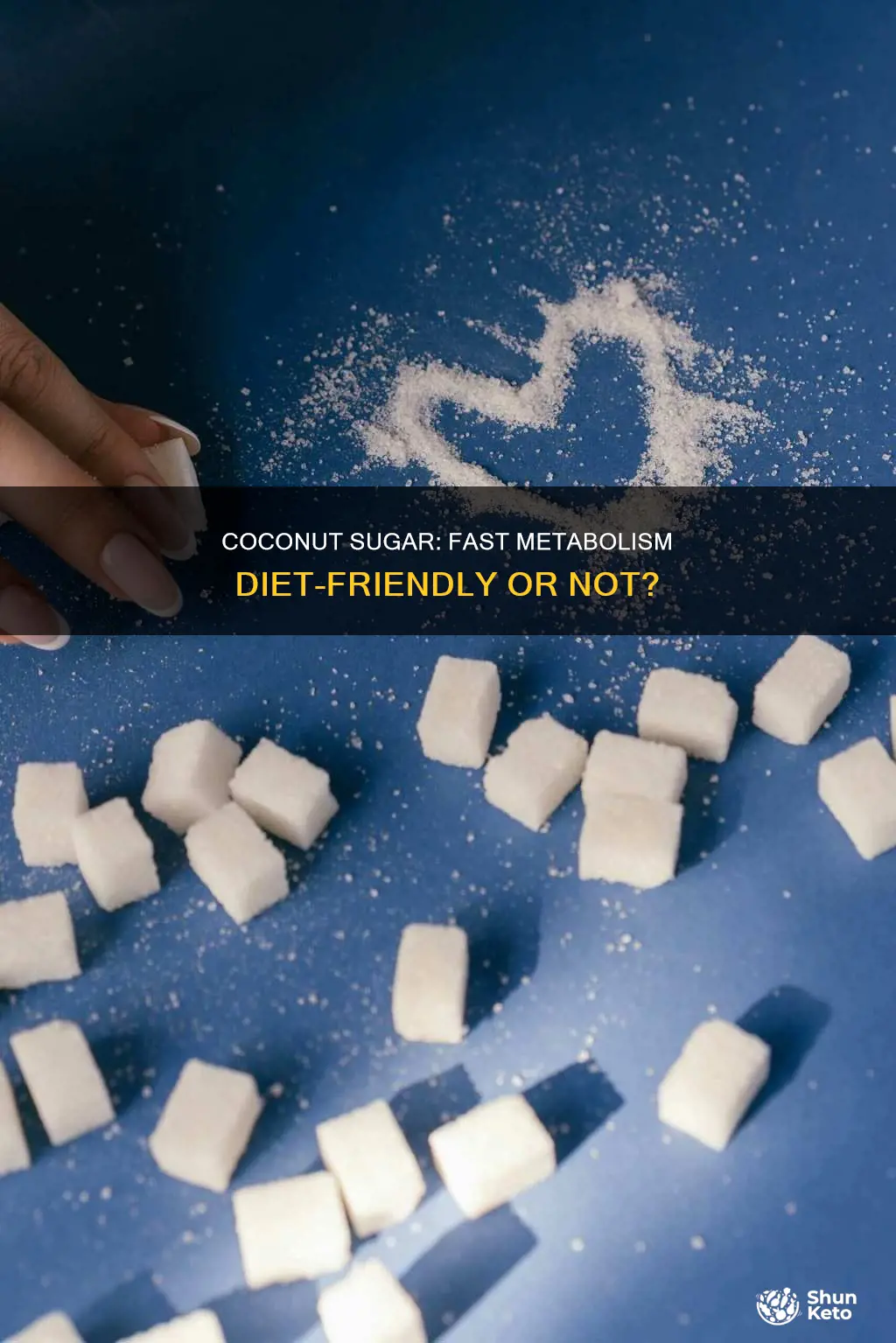 is coconut sugar allowed on the fast metabolism diet