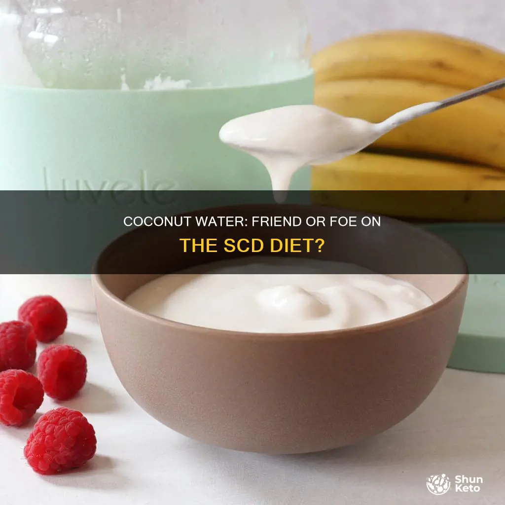 is coconut water allowed on scd diet