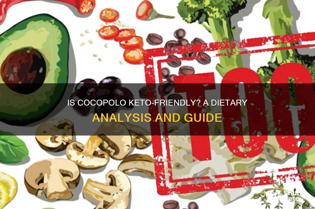 is cocopolo keto diet