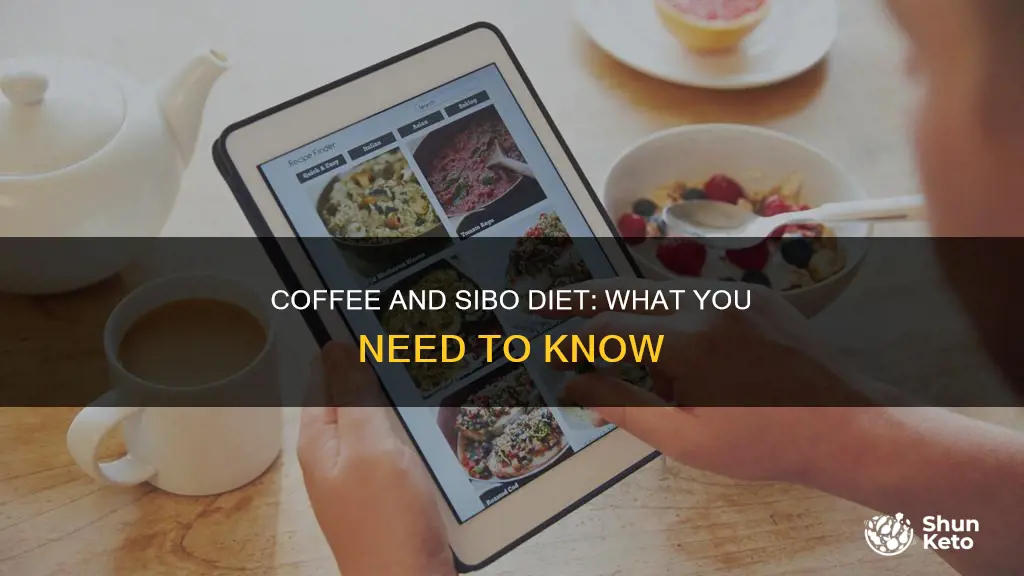 is coffee ok on sibo diet