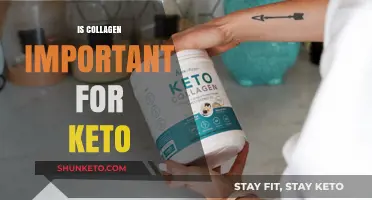 Unlocking the Keto Secret: The Vital Role of Collagen