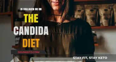 Collagen Consumption and Candida Diet: Safe or Not?