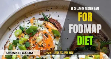 Collagen Protein's FODMAP Safety: What You Need to Know