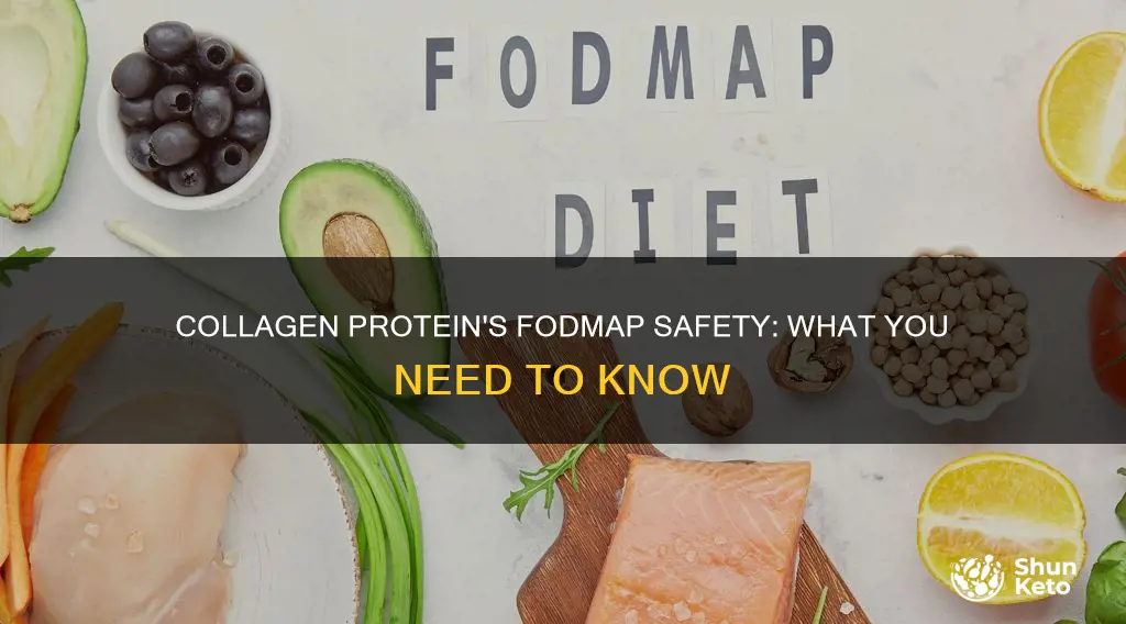is collagen protein safe for fodmap diet