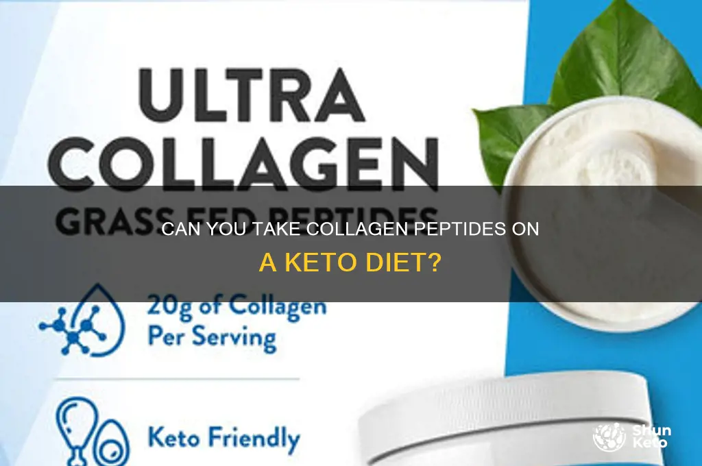 is collegan peptides allowed on keto diet