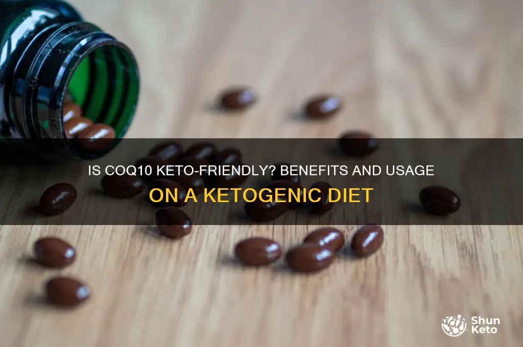 is coq10 keto friendly