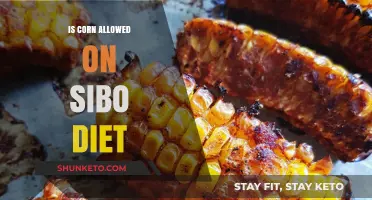 Corn Consumption and the SIBO Diet: What's Allowed?