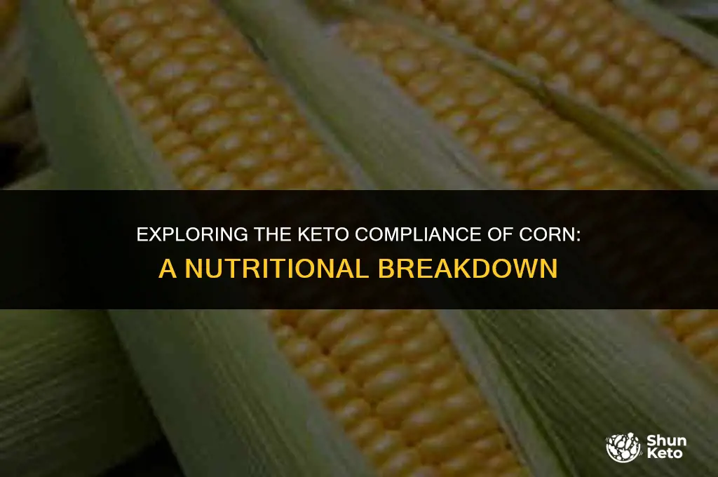 is corn keto compliant