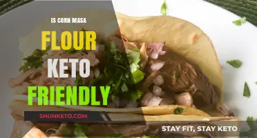 Is Corn Masa Flour Keto-Friendly? A Dietary Breakdown