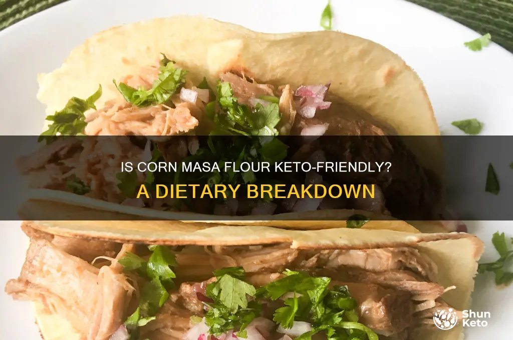 is corn masa flour keto friendly