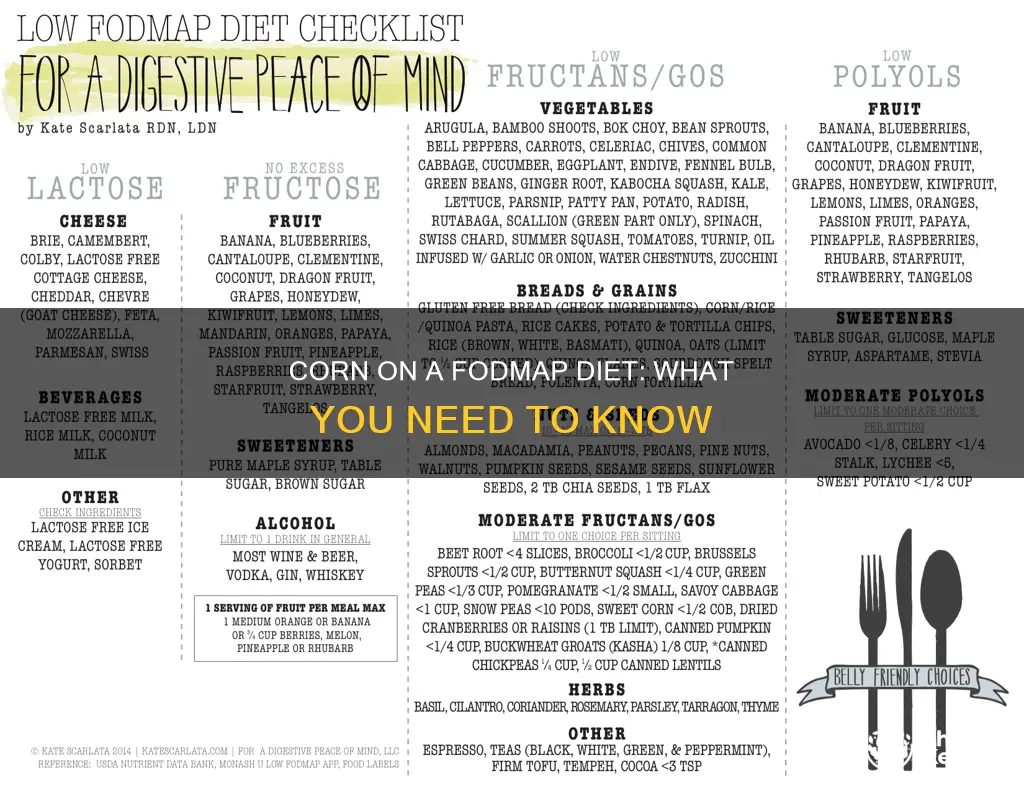 is corn ok on a fodmap diet