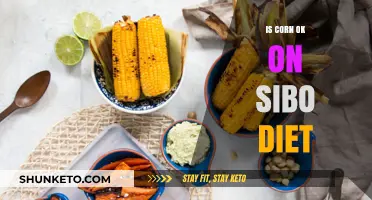 Corn Consumption and SIBO Diet: What's the Verdict?