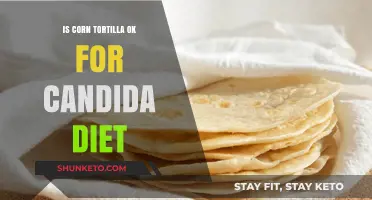 Candida Diet: Are Corn Tortillas Safe to Eat?