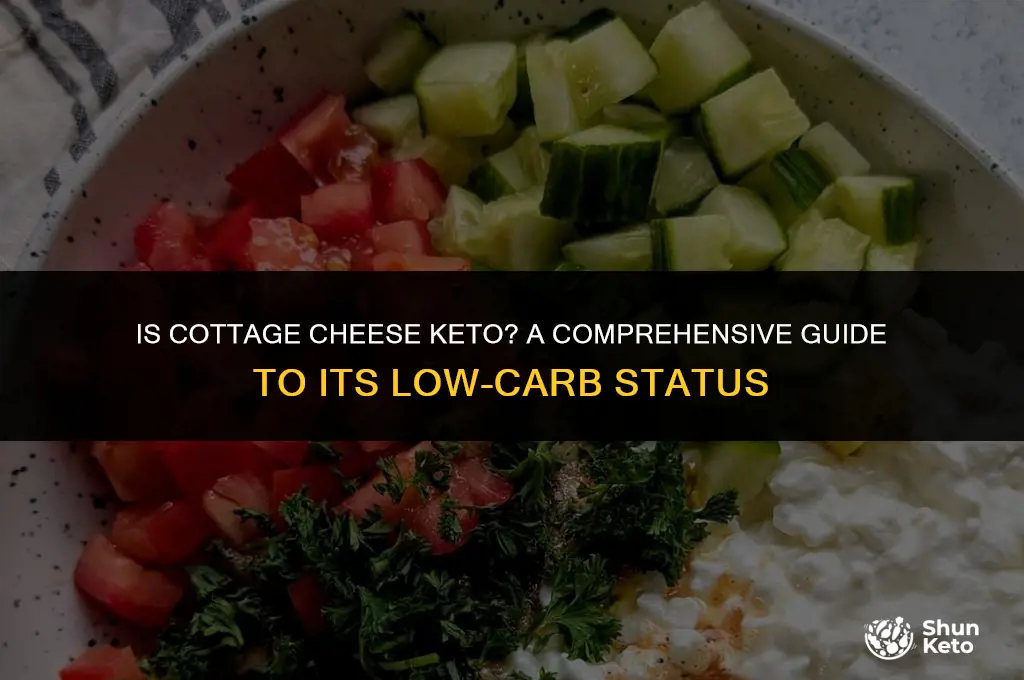 is cottage chees keto