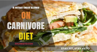 Carnivore Diet: Is Cottage Cheese Allowed?