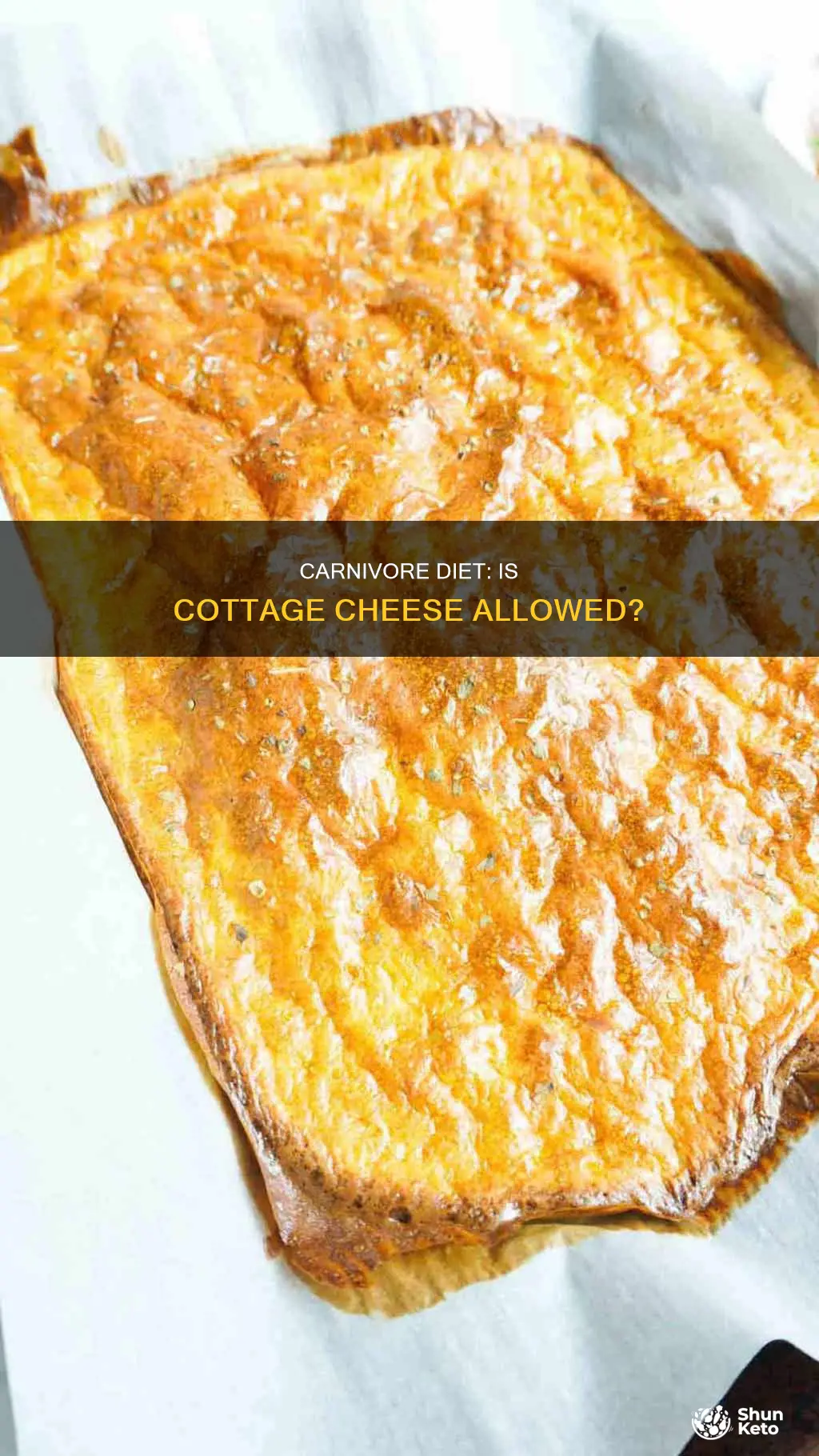 is cottage cheese allowed on carnivore diet