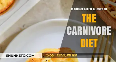 Carnivore Diet: Is Cottage Cheese Allowed?