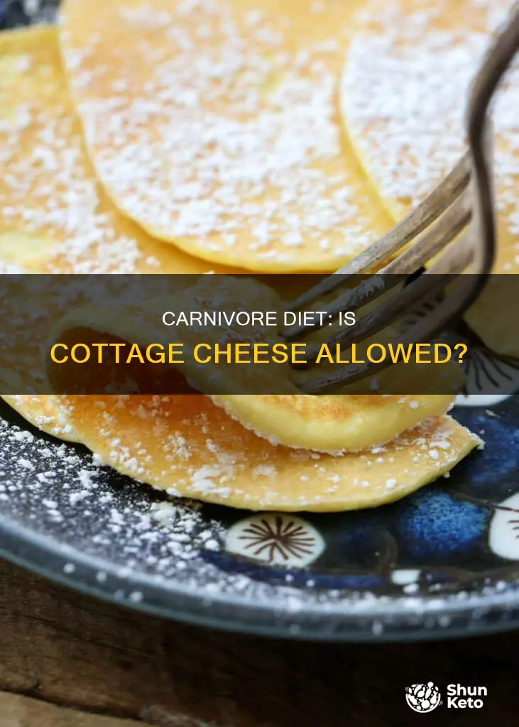 is cottage cheese allowed on the carnivore diet